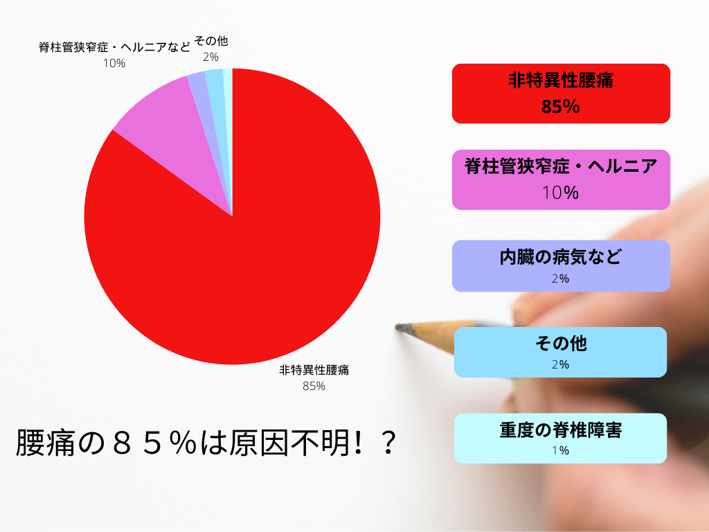 腰痛の原因についてのグラフ